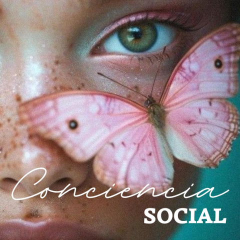 Conciencia social y economía